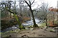 River Derwent in early spring