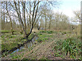 Rathlin Road Meadow, Pond and Wood, Crawley