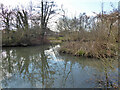 Rathlin Road Meadow, Pond and Wood, Crawley