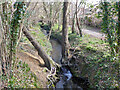 Broadfield Brook, Crawley