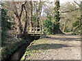 Footbridge over Broadfield Brook