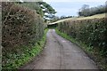 Track near Yanley Farm