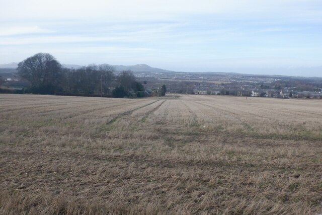 Stubble, Lingerwood © Richard Webb :: Geograph Britain and Ireland