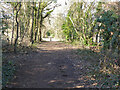 Bridleway 98W, Maidenbower, Crawley