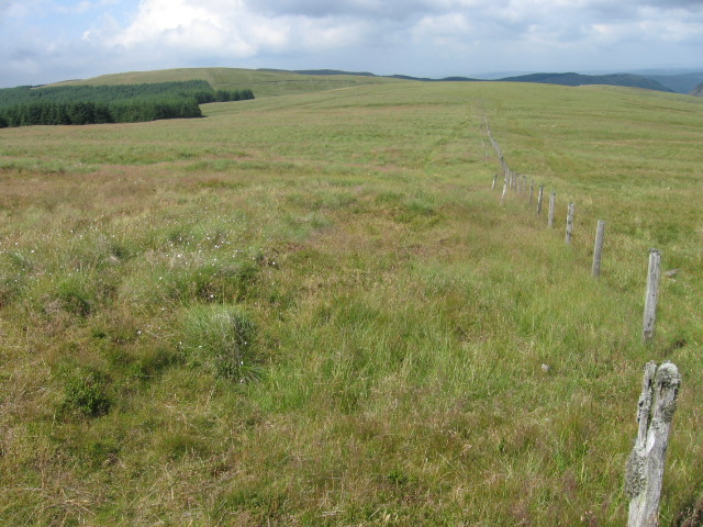 Fence along Lamb Hill