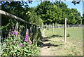 Leicestershire Round path near John