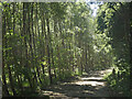 Leicestershire Round path through John