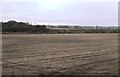 Field on the Mersey floodplain