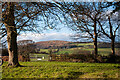 Towards Garway Hill