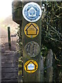 A post full of path markers