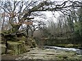 Rocky gorge on the Derwent