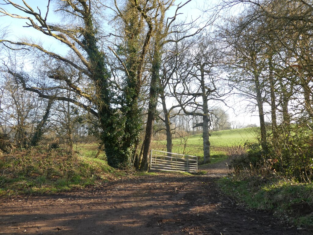 Borthwood Copse National Trust