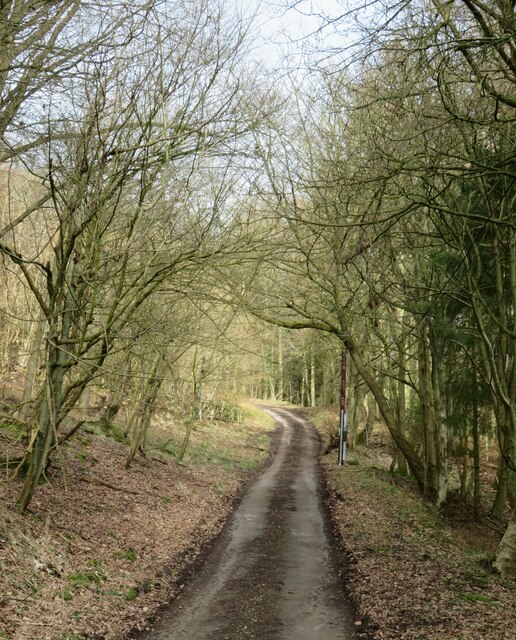 A very steep hill © Gordon Hatton cc-by-sa/2.0 :: Geograph Britain and ...