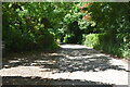 Road from Chiddinglye Farm