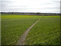 Footpath to Lower Hexgreave Farm, north of Farnsfield