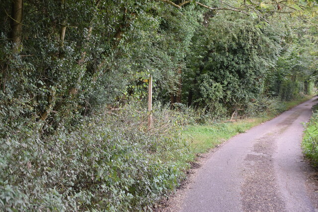 Footpath Off Bixley Lane © N Chadwick Geograph Britain And Ireland 2871