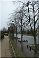 Flooded Ouse