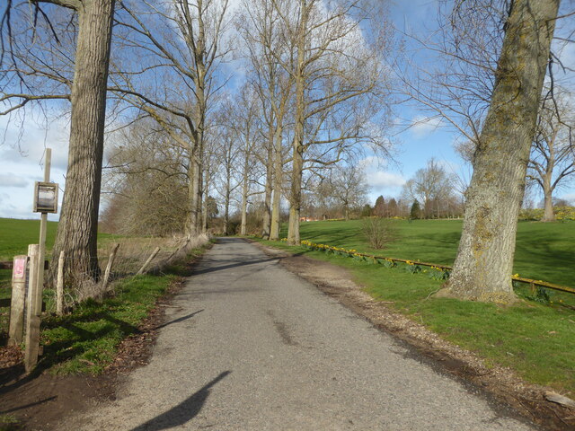 Driveway to Eastwell Manor, Eastwell Park