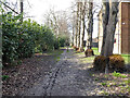 Muddy path off Dobson Road, Langley Green, Crawley