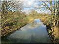 The River Witham at Westborough