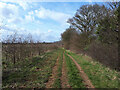 Bridleway towards Three Cornered Bit