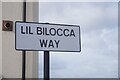 Lil Bilocca Way, Kingswood, Hull