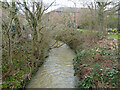 Gatwick Stream looking downstream