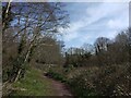 The Panny Path, Ludwell Valley, Exeter