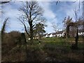 Houses overlooking Countess Wear mill leat, Exeter