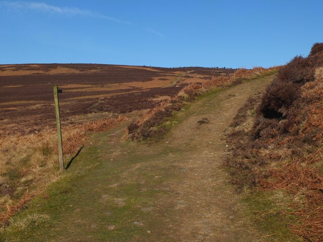 Path junction on Peat Law