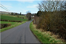 H5375 : Heading north on Spring Road, Fernagh by Kenneth  Allen