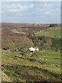 Looking down to St Agnes House