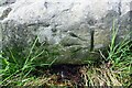 Benchmark on felled gatepost beside farmland track east of Cardewlees Farm