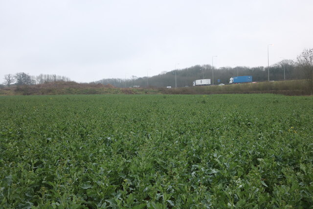 field-by-the-m25-london-colney-david-howard-geograph-britain-and