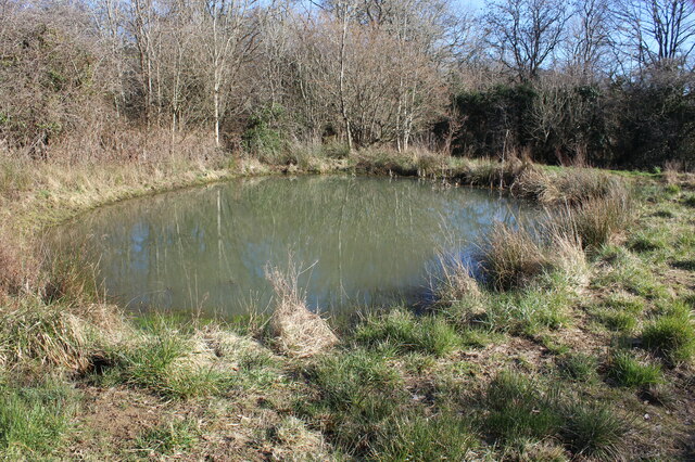 Small pond east of A469, Bargoed Woodland Park