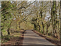 Ulverscroft Lane towards Newtown Linford