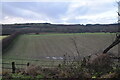 Farmland south of Delamere Station