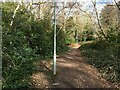 Cycle path in Queen Elizabeth Park