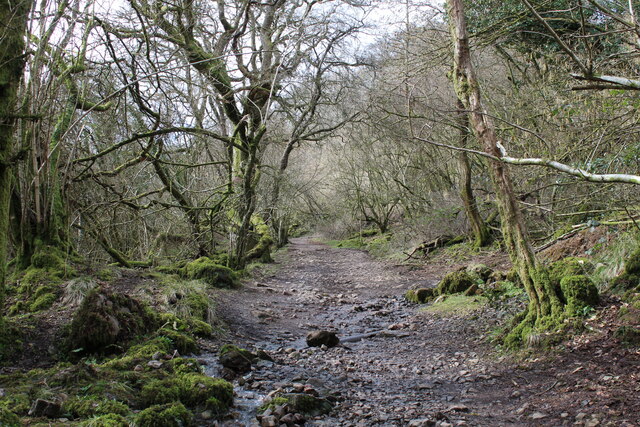 Path heading up to Rhymney Valley Ridgeway