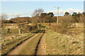 Bridleway to Twigmoor Woods