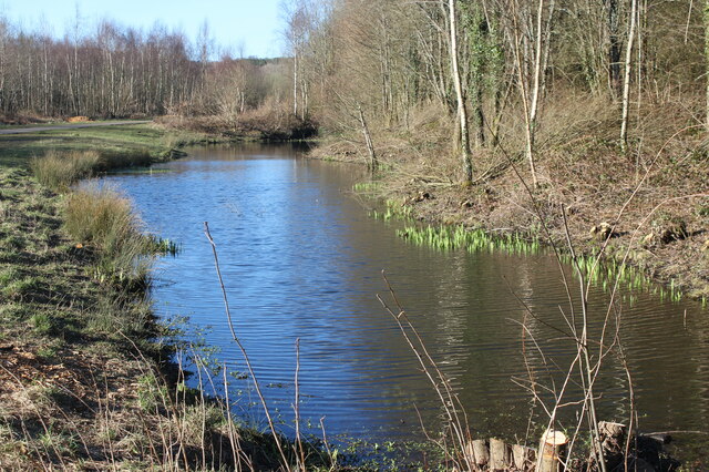 Long pond, Bargoed Woodland Park