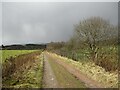 Track between Calderbank and the Monkland Canal