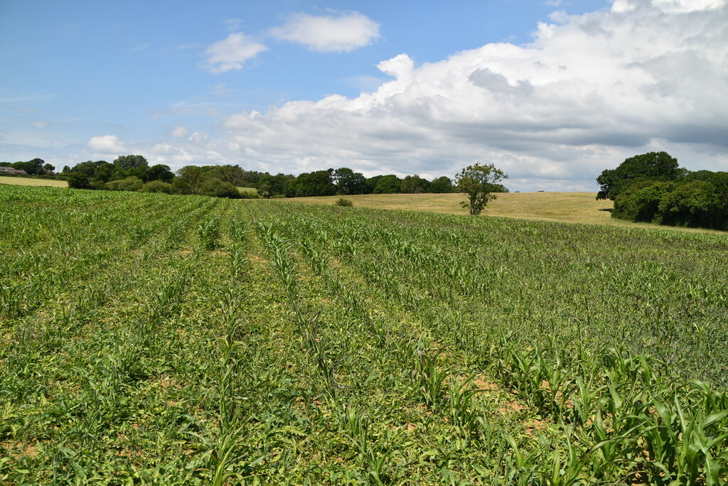 Arable Crops N Chadwick Geograph Britain And Ireland