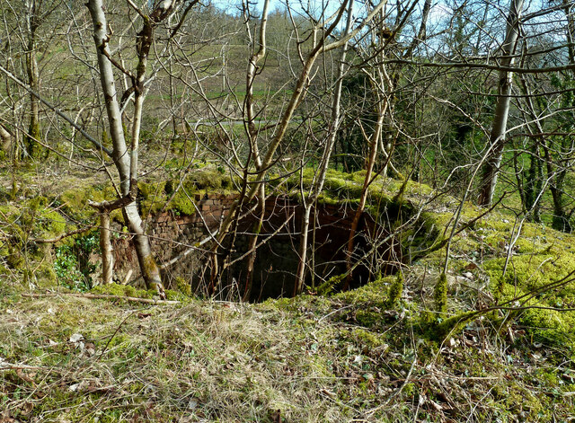 Above a lime kiln at Craighead