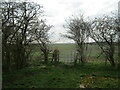 Gate on a footpath from Long Bennington to Bottesford