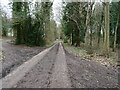 TG3131 : Junction of Paths with Forest Road by David Pashley