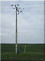 Electricity pole and footpath marker