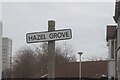 Hazel Grove off Great Thornton Street, Hull