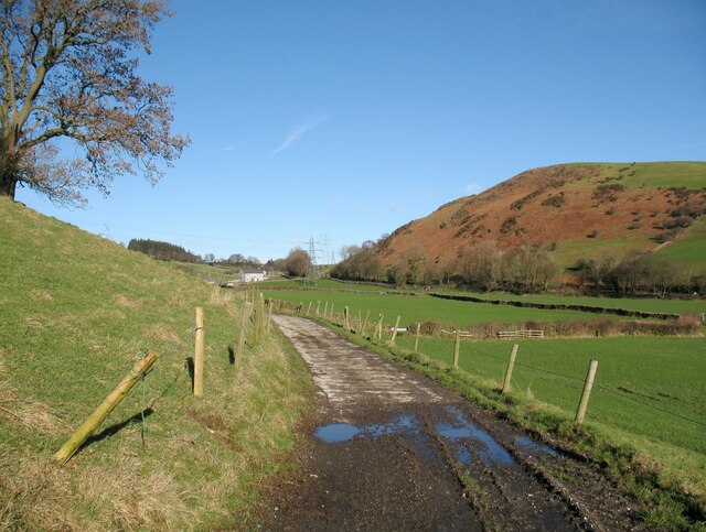 The Cumbria Way, farm track near Heaning Wood