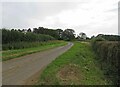 Holygate Road westwards towards Wills Farm